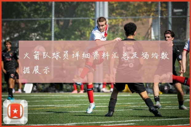 火箭队球员详细资料汇总及场均数据展示